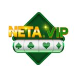 NETA VIP APK